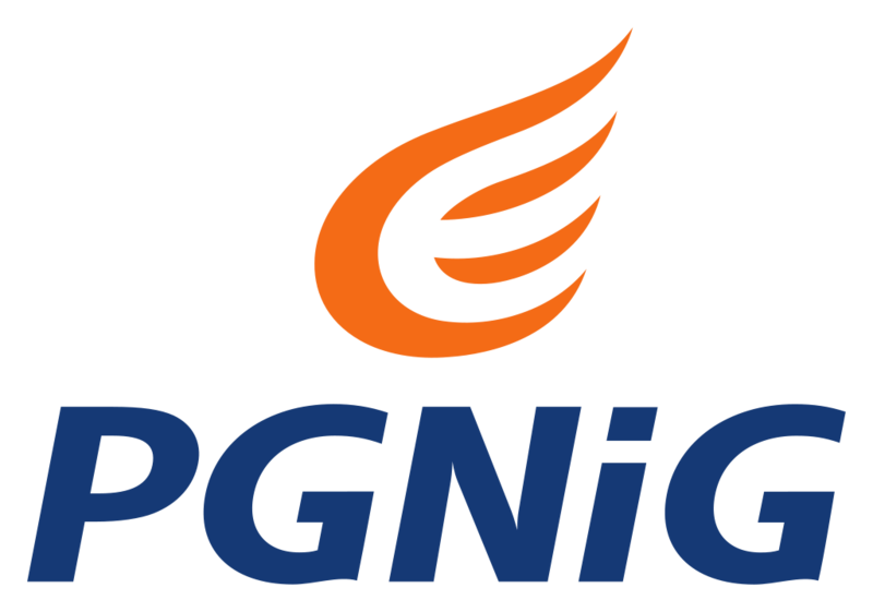 PGNiG Brand Logo