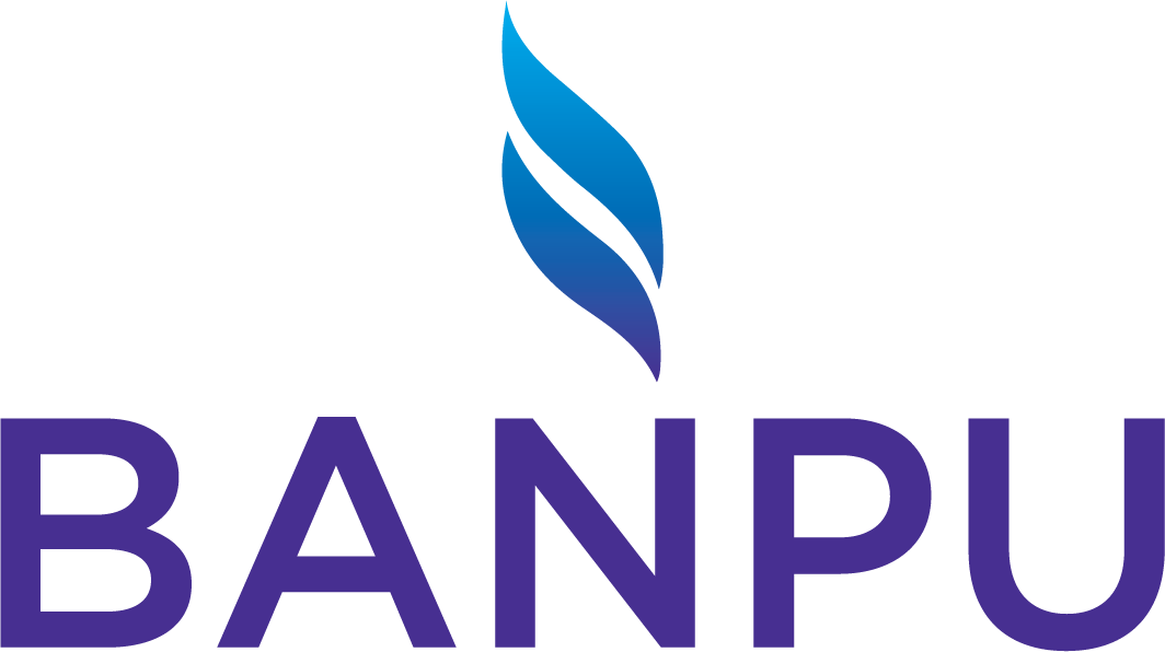 Banpu Brand Logo