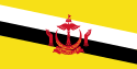 Brunei Darussalam Brand Logo