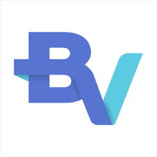 Banco Votorantim Brand Logo