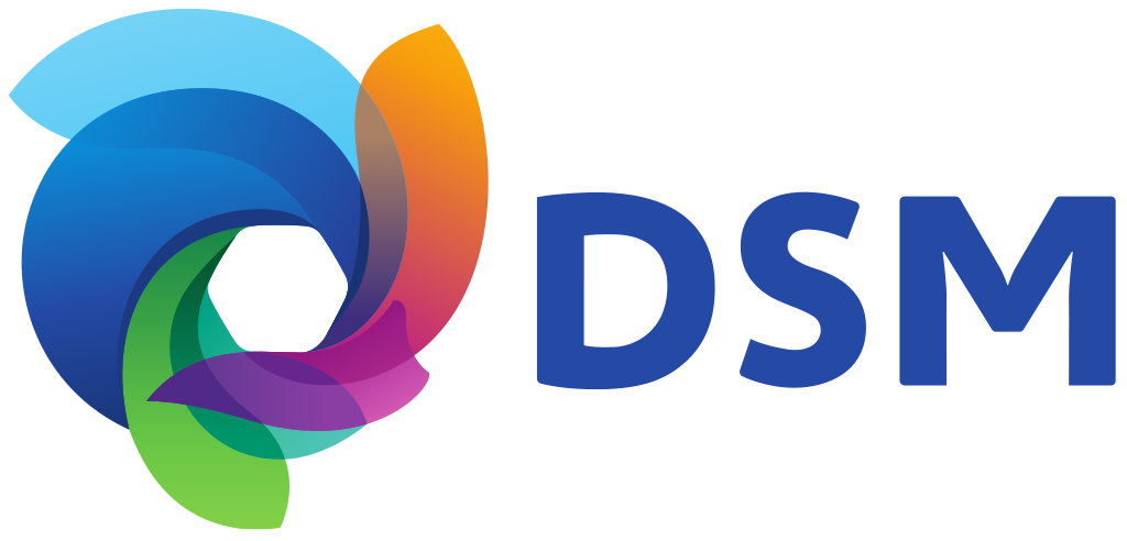 DSM Brand Logo