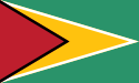 Guyana Brand Logo