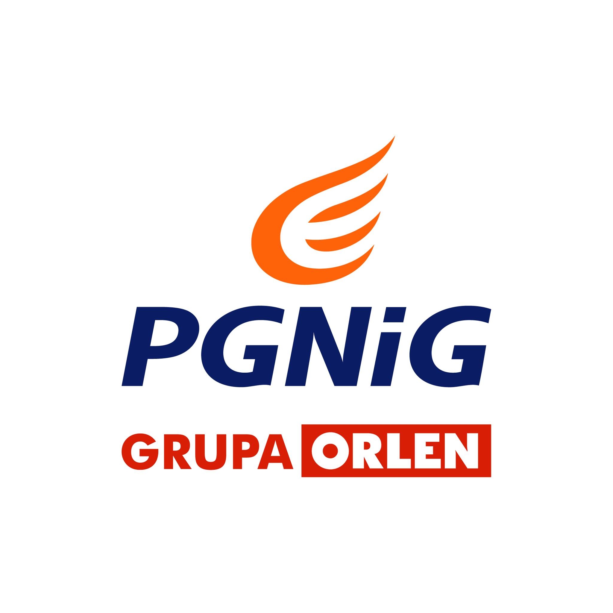 PGNiG Brand Logo