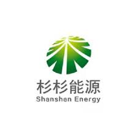 Shanshan Group Brand Logo