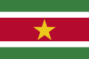 Suriname Brand Logo