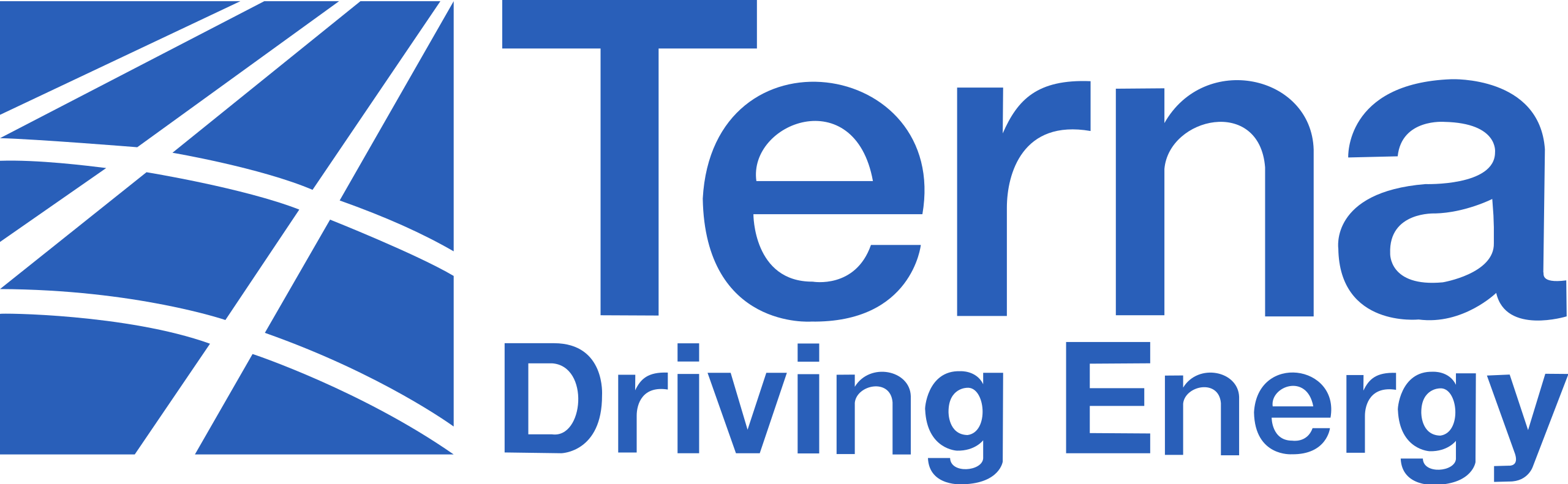 Terna Brand Logo