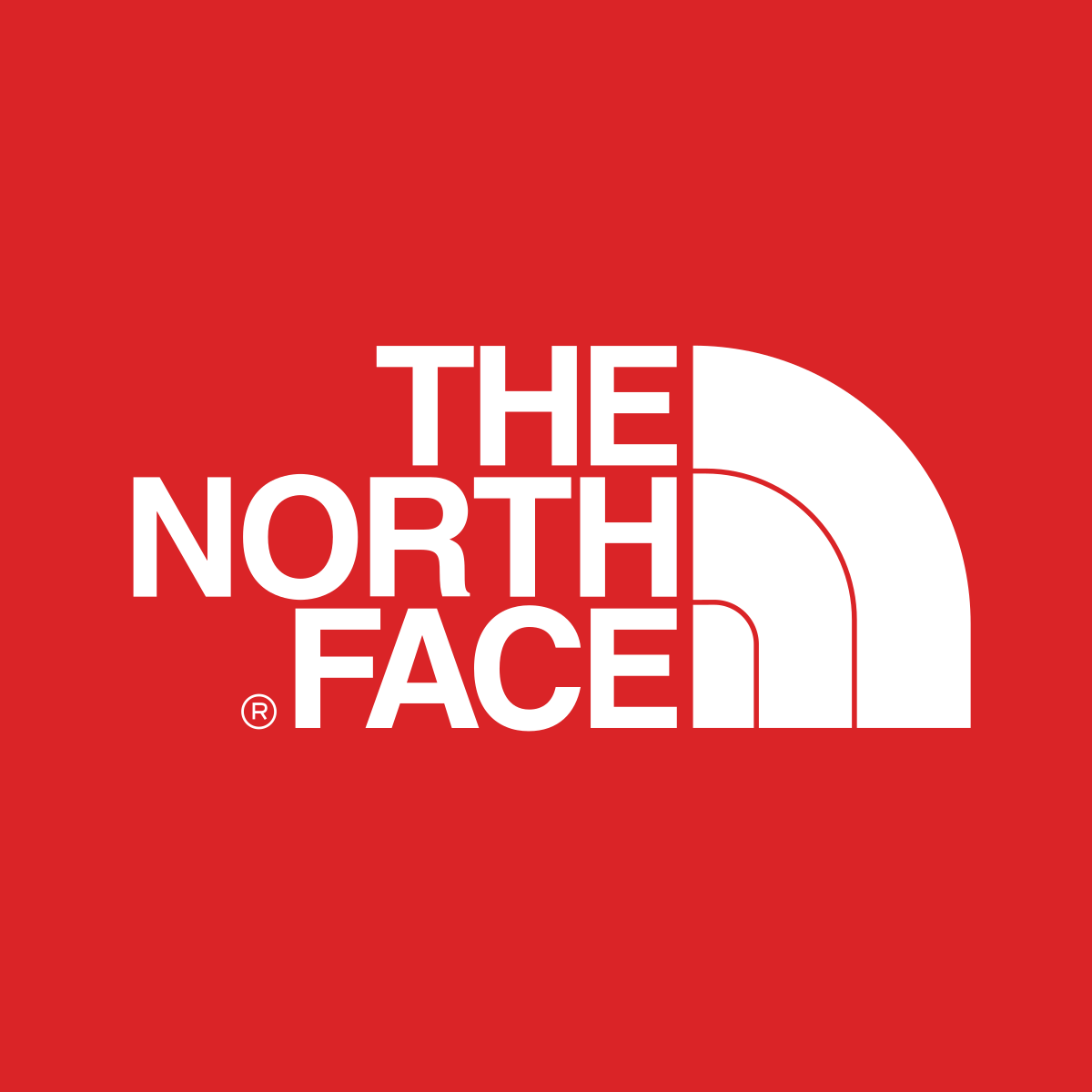 The North Face Brand Logo