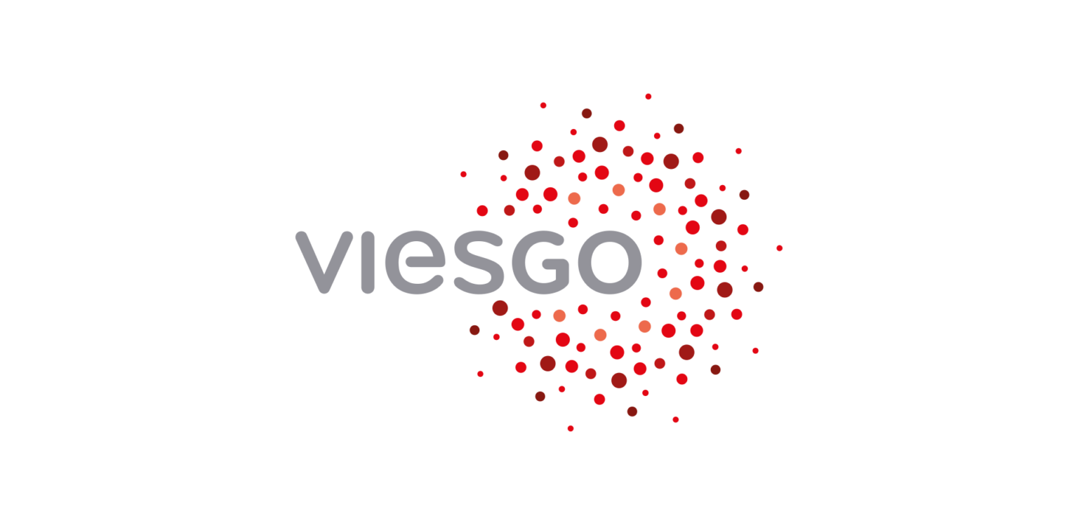 Viesgo Brand Logo