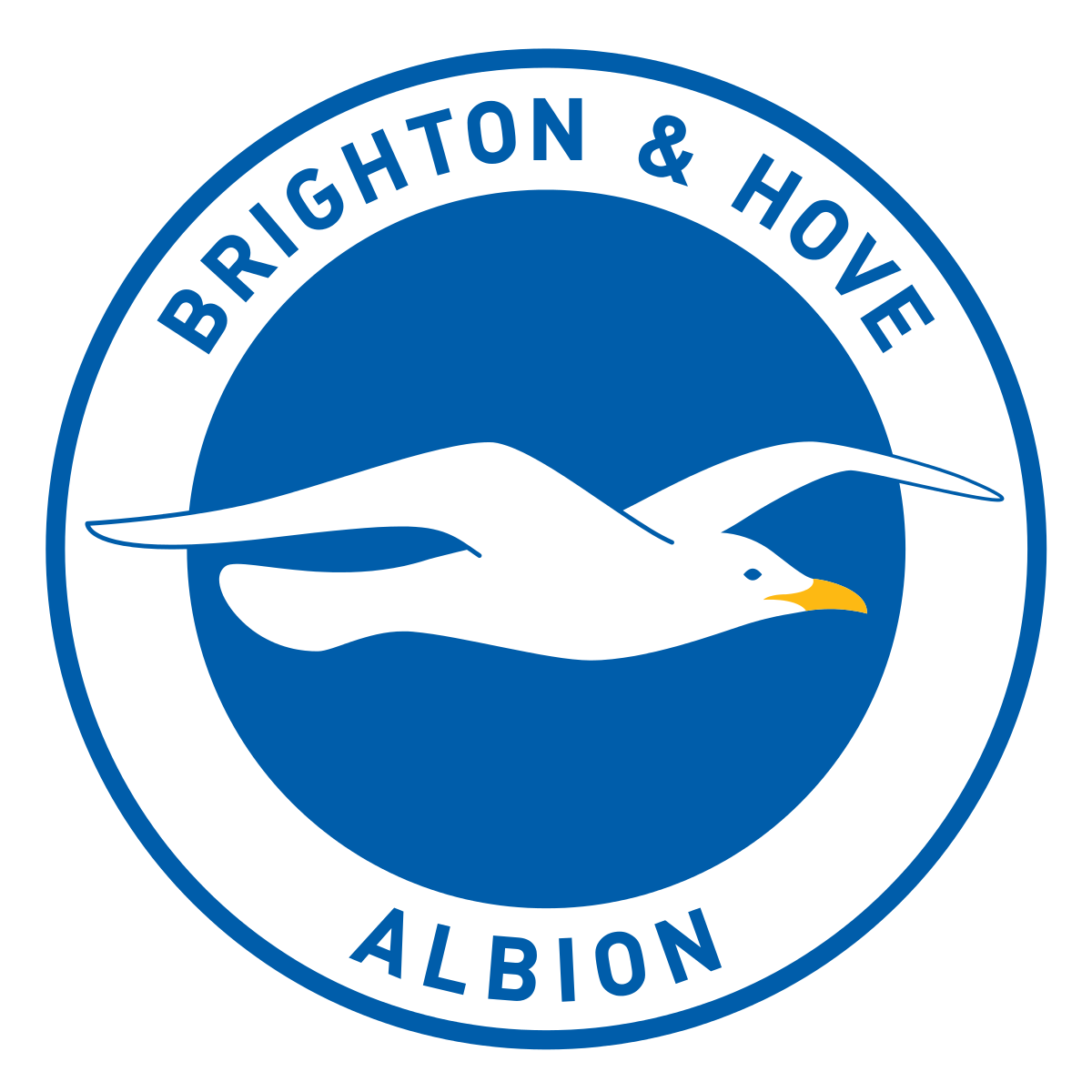 Brighton & Hove Albion FC Brand Logo