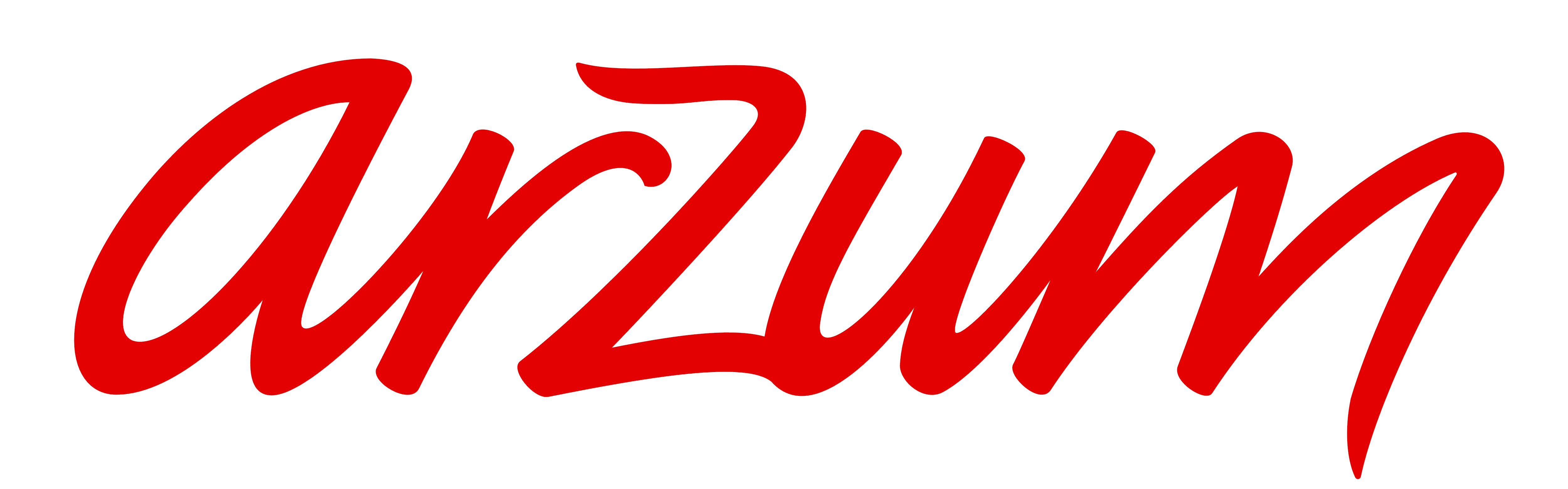 Arzum Brand Logo