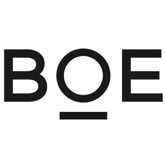 Boe Technology Group Brand Logo
