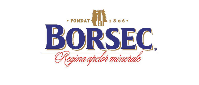BORSEC Brand Logo
