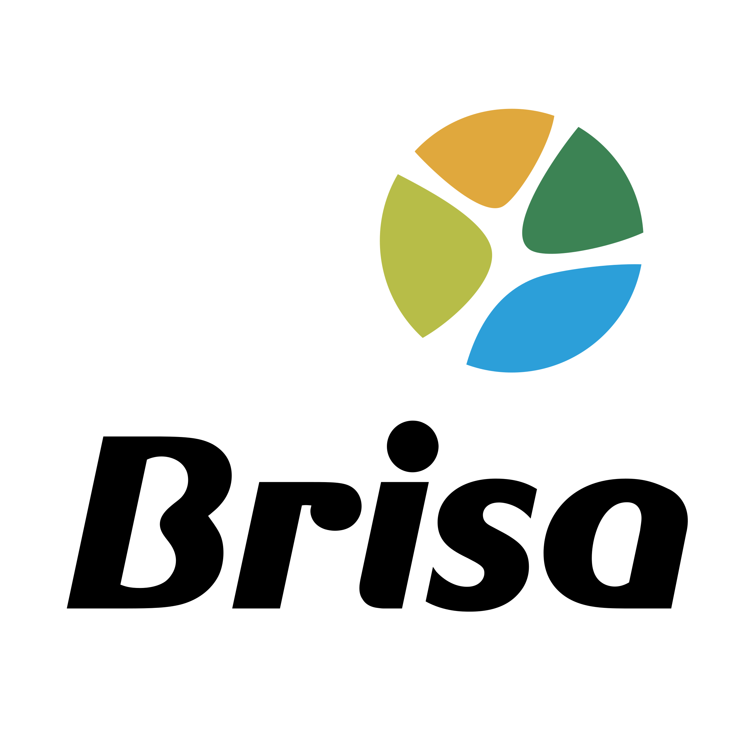 Brisa Brand Logo