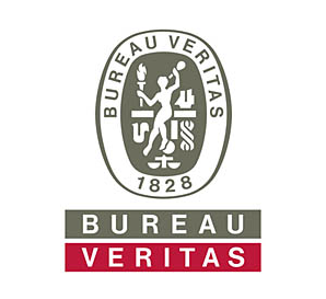 Bureau Veritas Brand Logo
