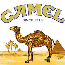 Camel Brand Logo