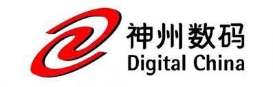 Digital China Brand Logo