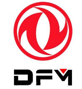 DFM Brand Logo