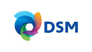 DSM Brand Logo