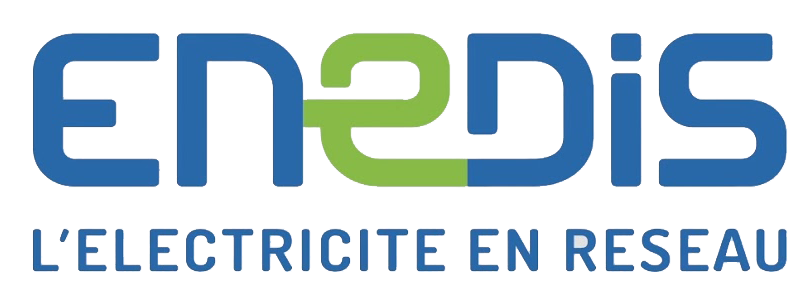 Enedis Brand Logo