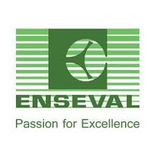 Enseval Brand Logo