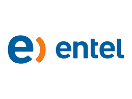 Entel Brand Logo