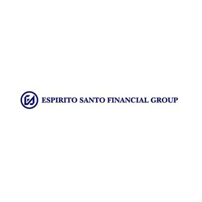 Banco Espirito Santo Brand Logo