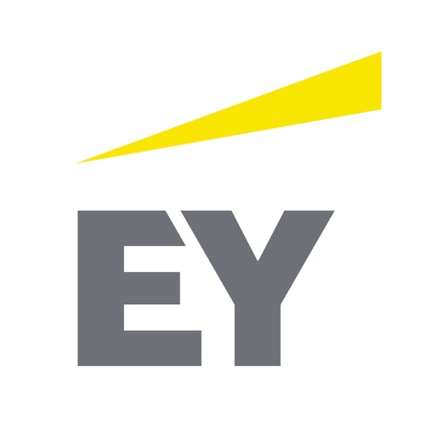 Ernst and Young Brand Logo
