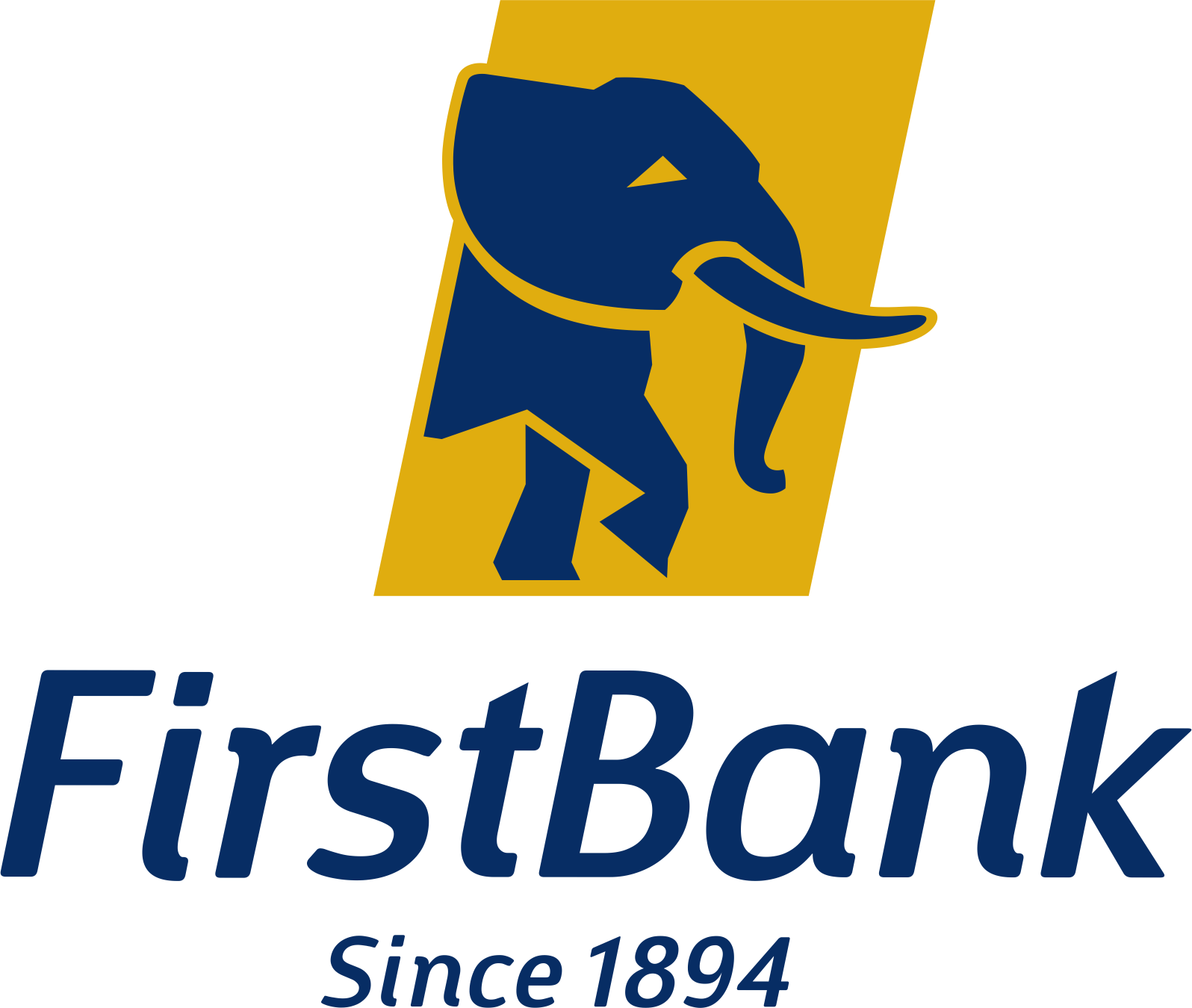 First Bank of Nigeria Brand Logo