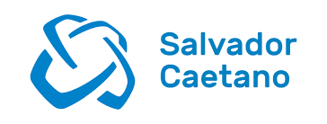 Grupo Salvador Caetano Brand Logo
