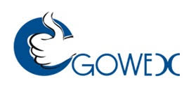 Grupo Gowex Brand Logo
