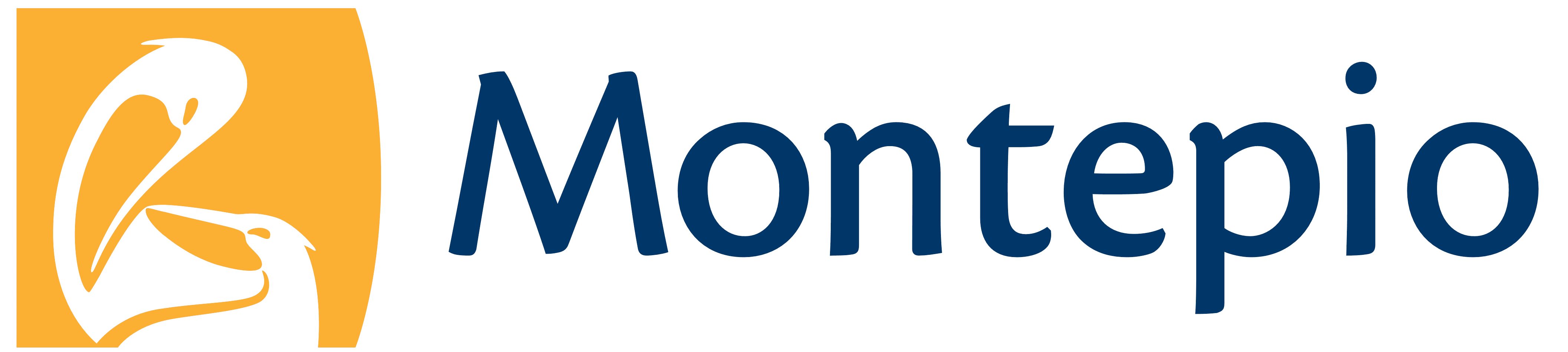 Montepio Brand Logo