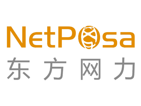 Netposa Techno-A Brand Logo