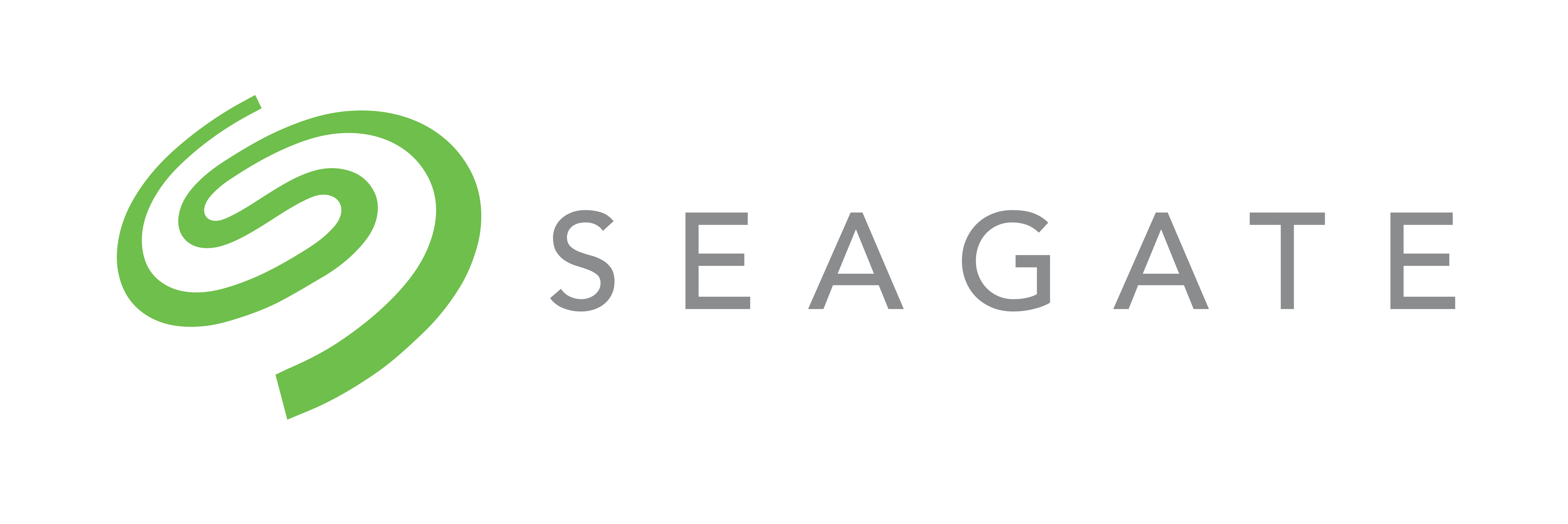 Seagate Technology Brand Logo