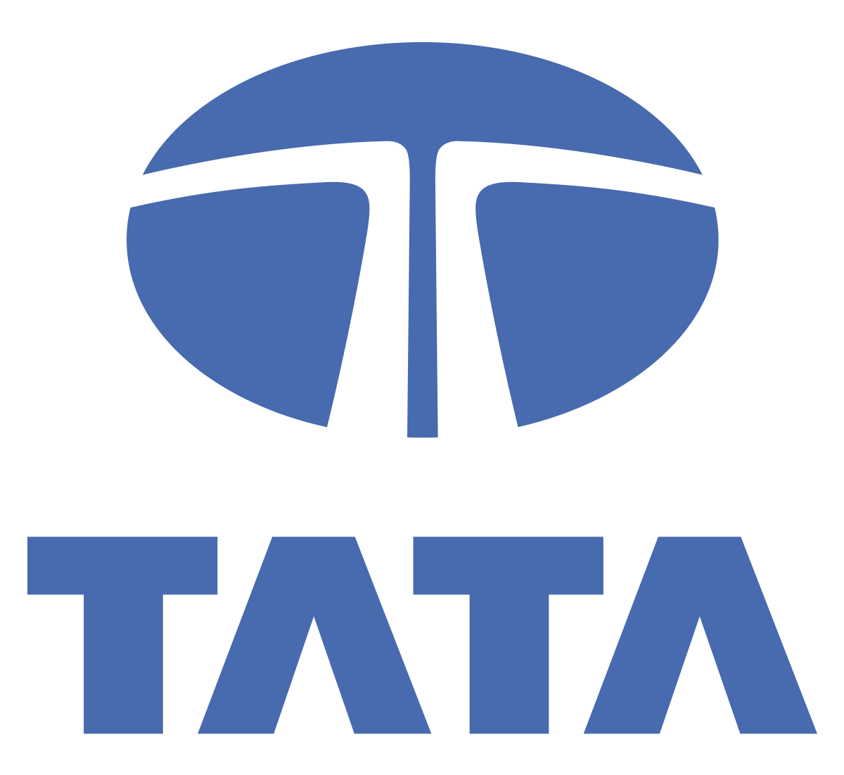 Tata Group Brand Logo