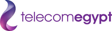 Telecom Egypt Brand Logo