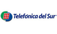 Telsur Brand Logo