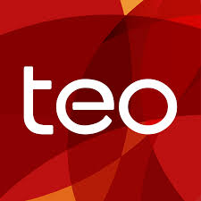 Teo Brand Logo
