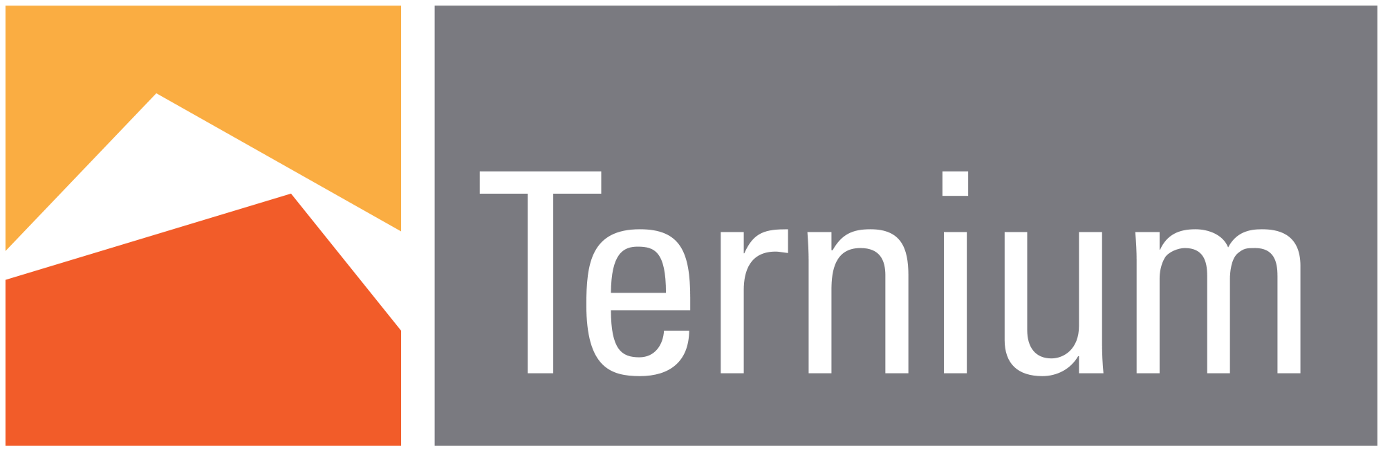 Ternium Brand Logo