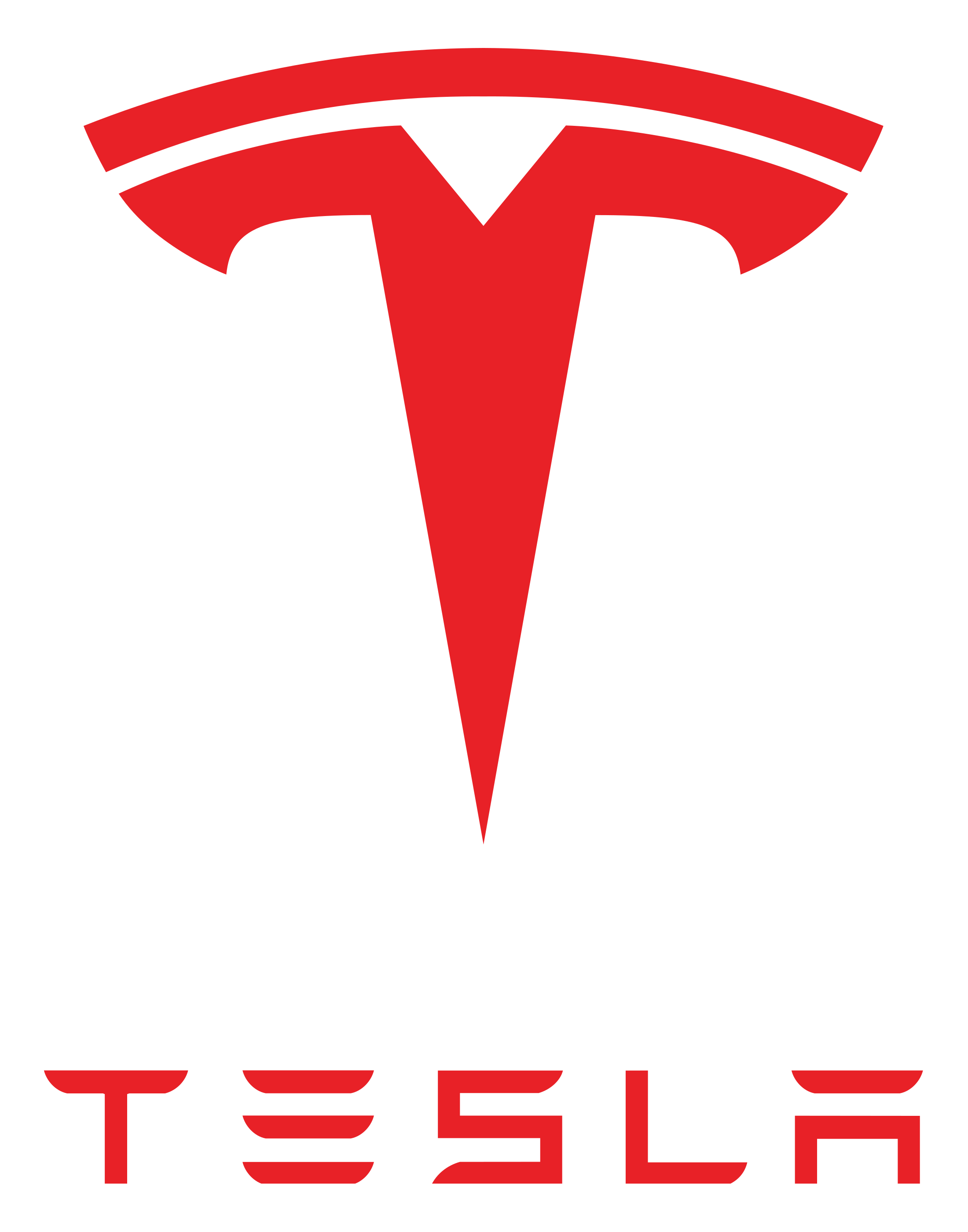 Tesla Motors Brand Logo