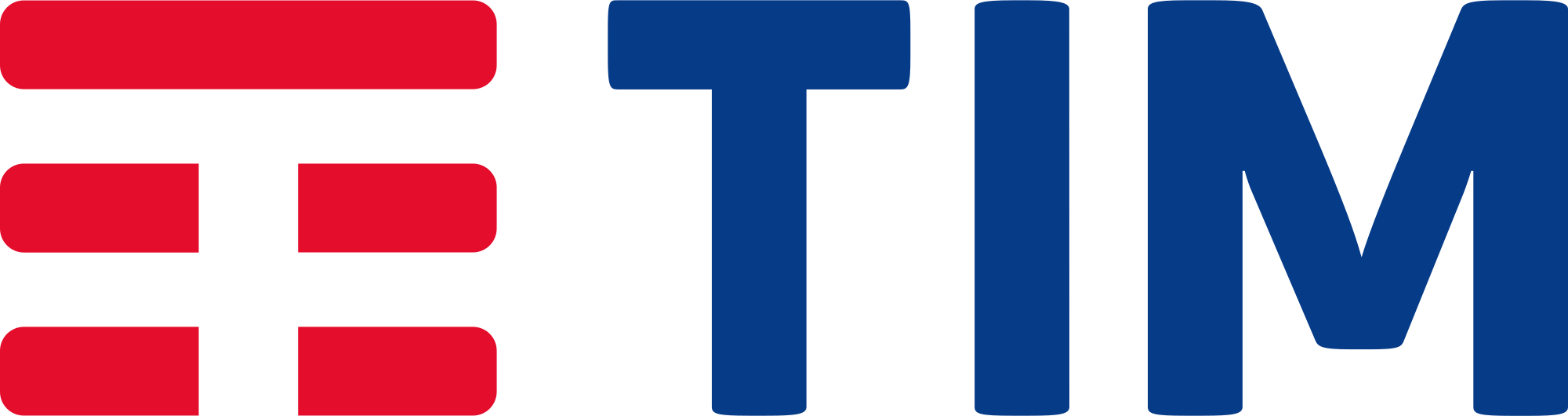 TIM Brand Logo