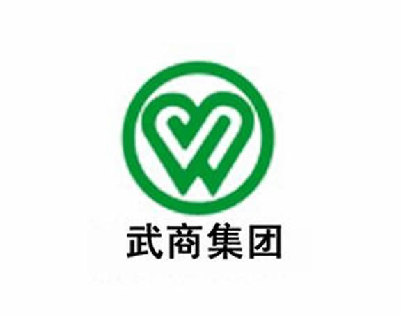 Wuhan Dept Store Brand Logo