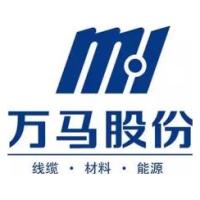 Zhejiang Wanma Brand Logo
